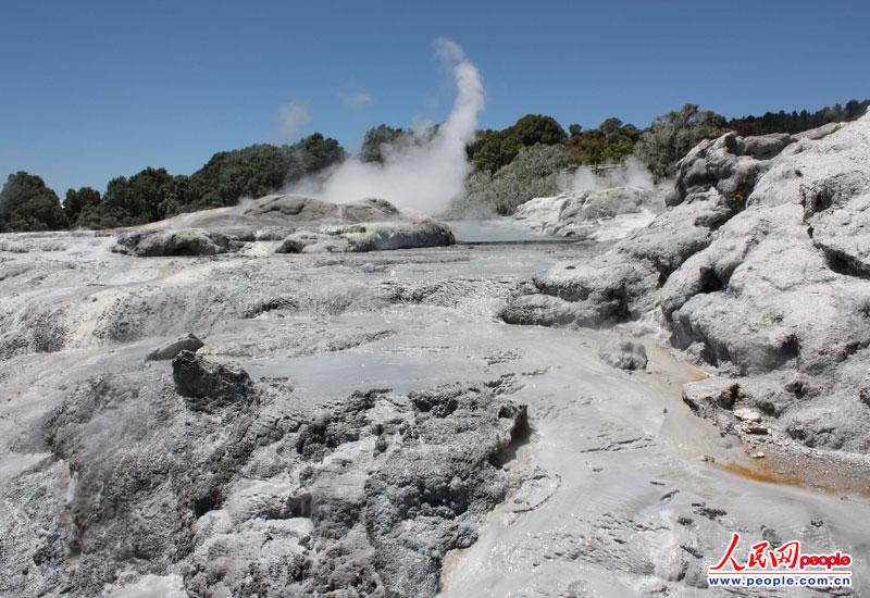 ³(Rotorua)кܶڵĹ԰ڵĵ棬Ϊһɽ෢ķߵȱ(Whakarewarewa ThermalArea)У̵ļЪȪӹʯ׵صķ϶ӿ