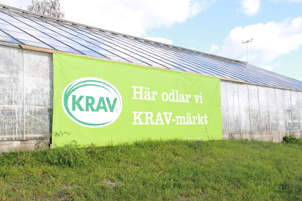 ǰkrav֤ʶձ 