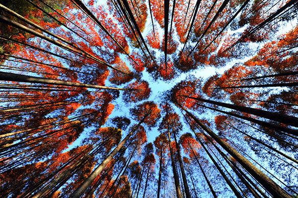 ֱ������Ǯ������