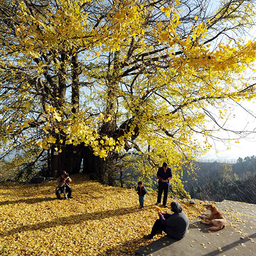 ��������Ǯ������