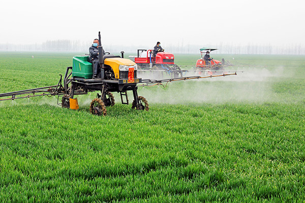 �ߵ�϶��������������ʵʩС�����ڲ��������ҵ���������