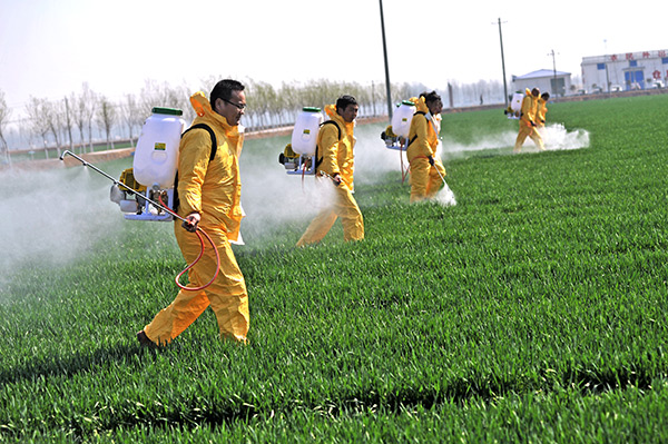 ������Ա����伯����ҵ���������