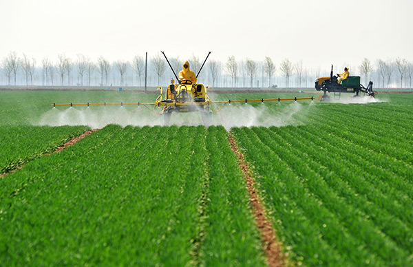 �����ҵ���������