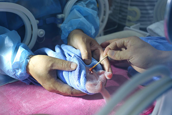 ��������è���¡�������������5��