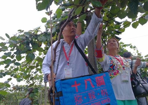 习近平两会上关心过问的10件小事