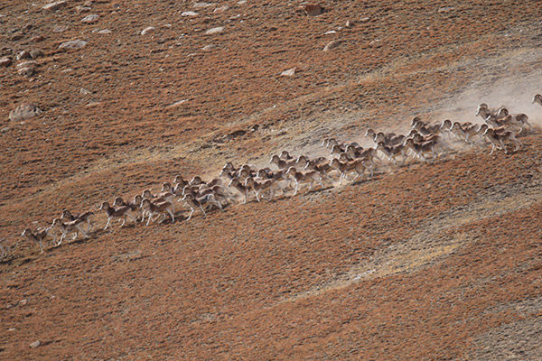 ������������ݶ��� ��