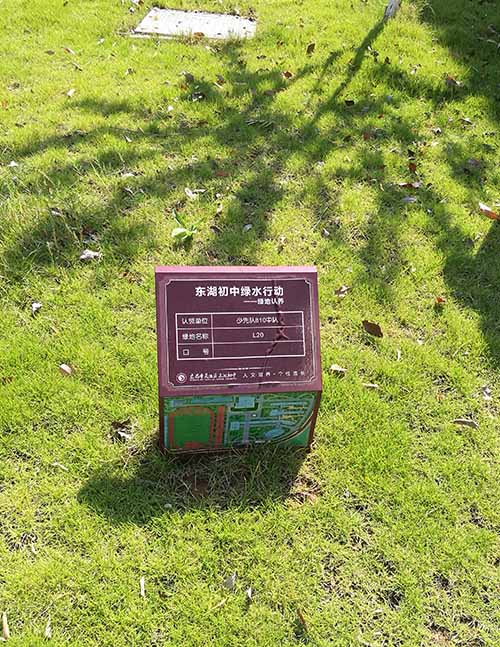 東湖初中同學和班集體認養的綠地。 記者范昊天攝