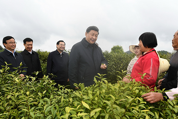 叶落归根不忘老区小康路上习近平的惓惓密意