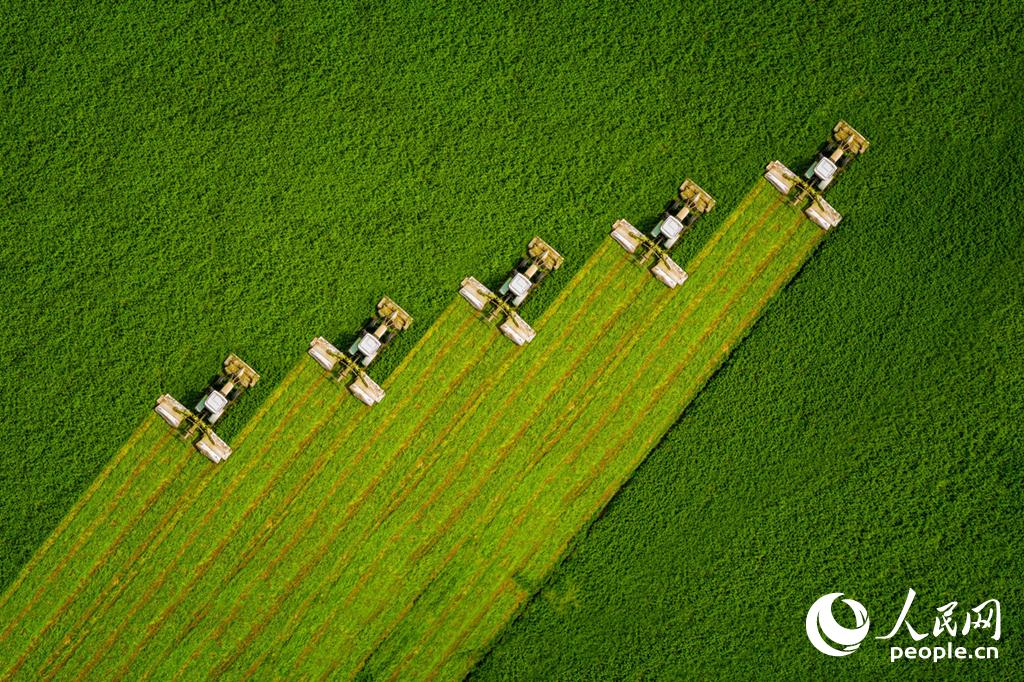 ����֮���ɡ������2020��4��23�������ڰ���ʡ�����У����������10��Ķ�ϻ���ޣ�������ո