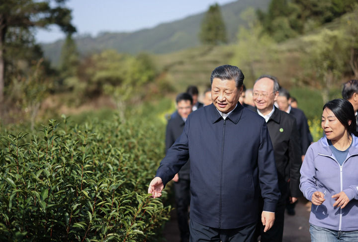 2021年3月22日，习近平总书记来到福建武夷山市星村镇燕子窠生态茶园，察看春茶长势，了解当地茶产业发展情况。新华社记者 王晔 摄