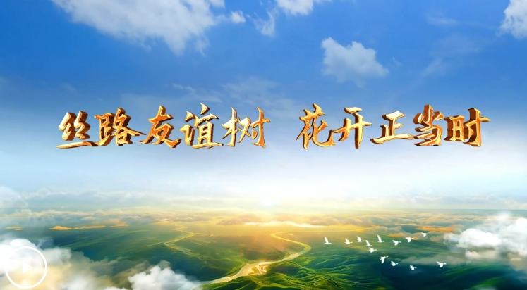 大道之行丨丝路友谊树 花开正当时