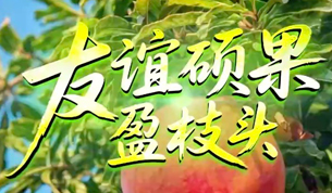 友谊硕果盈枝头