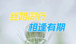 丝路同行 相逢有期