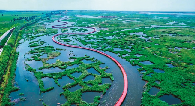 查干湖大玉兒濕地棧道