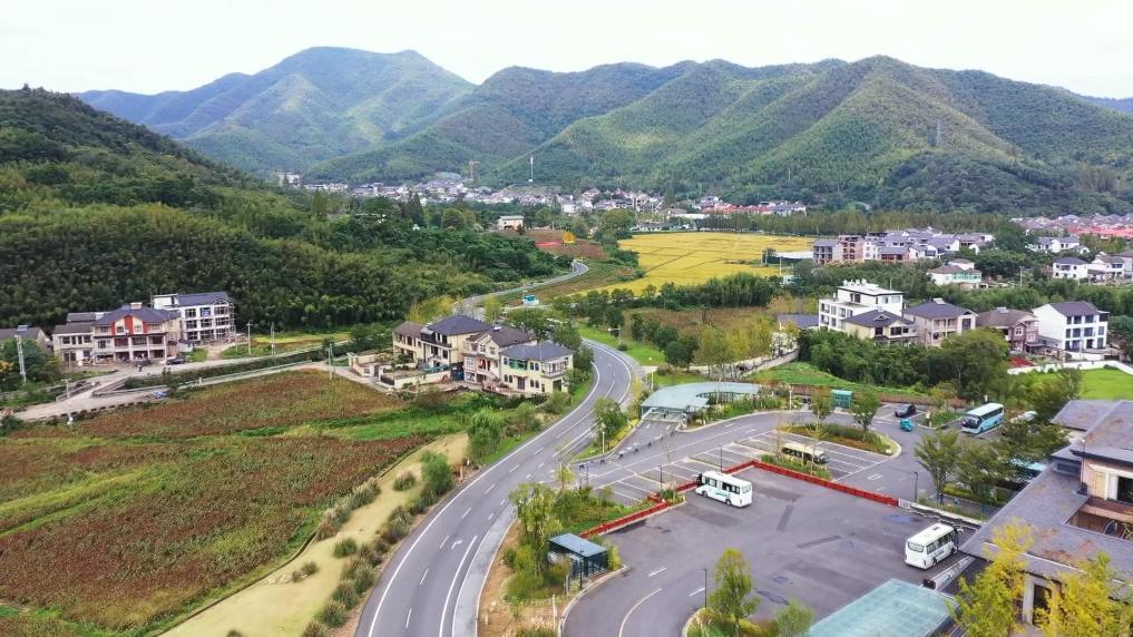 △如今，“安吉白茶”品牌价值突破62亿元，茶山已化作致富的“金山”。
