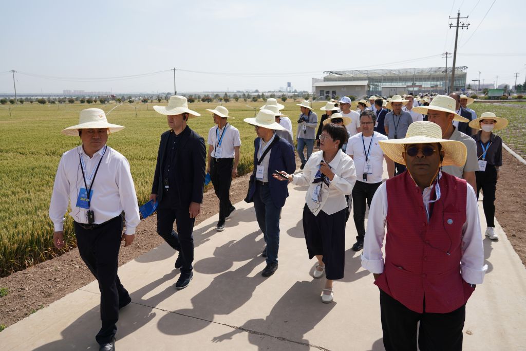 2025年5月19日，上海合作组织减贫和可持续发展论坛与会人员在陕西杨凌参观旱区农业节水技术与装备田间展。新华社记者 邵瑞 摄