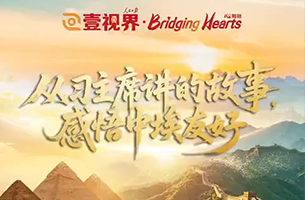 從習主席講述的故事，感悟中埃友好
