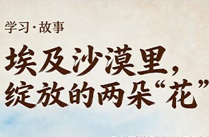 埃及沙漠裡綻放的兩朵“花”