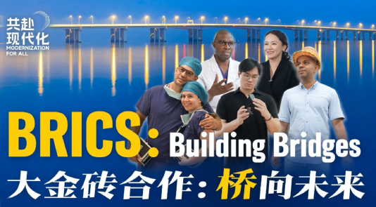 大金砖合作：桥向未来