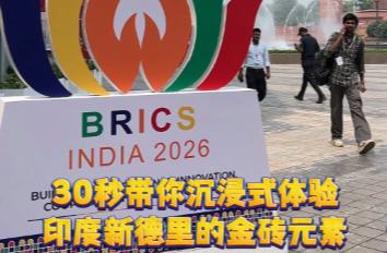 30秒沉浸式体验印度新德里的金砖元素