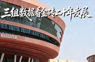三组数据看金砖二十年发展