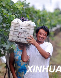 大包干的领头人严宏昌:用坚韧书写历史