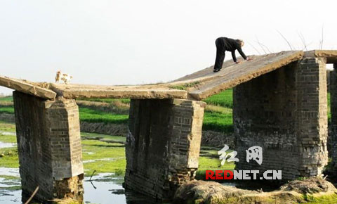 组图:网友曝河南鄢陵县凹形危桥 老人要爬行过桥