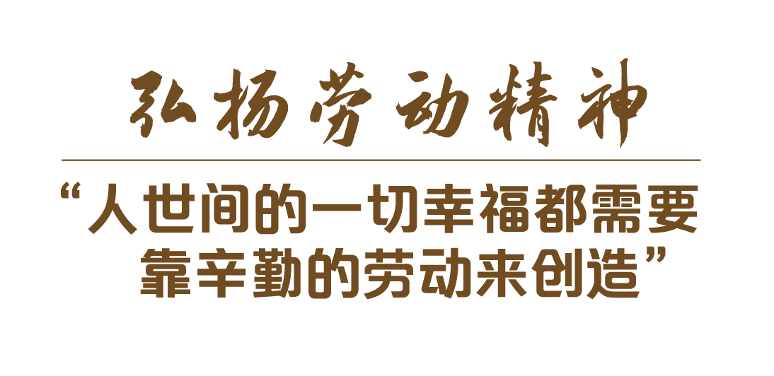 致富经视频_致富小视频加工厂_视频致富经