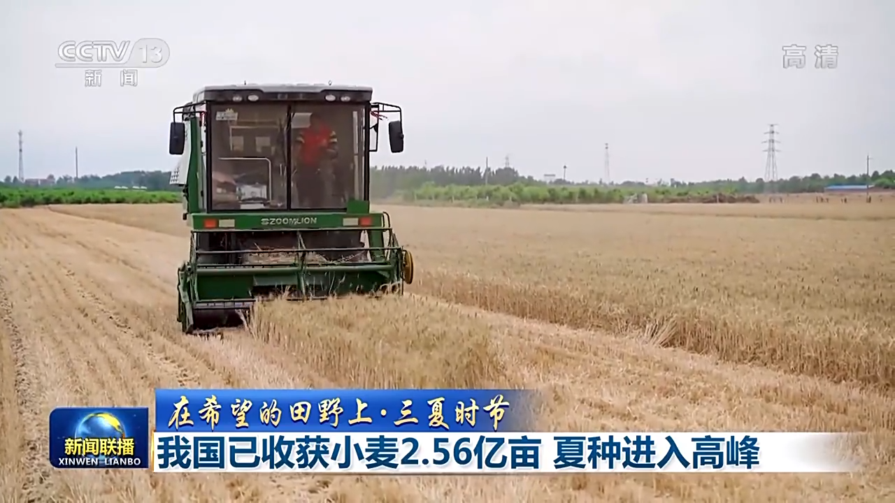 在希望的田野上·三夏时节丨我国已收获小麦2.56亿亩 夏种进入高峰