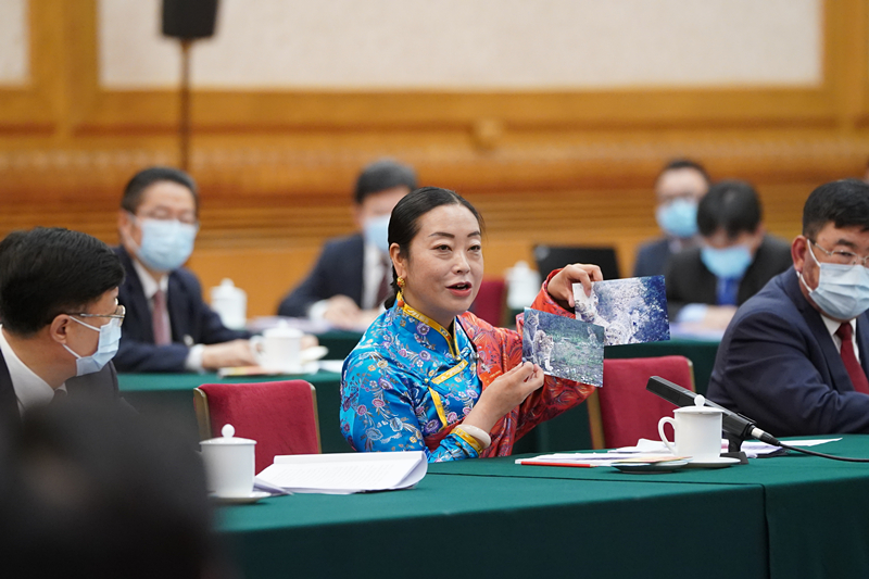 2021年3月7日，習近平總書記在參加十三屆全國人大四次會議青海代表團審議時，全國人大代表孔慶菊在會上展示了兩張照片，上面分別是祁連山地區多年不見蹤跡的雪豹和荒漠貓。