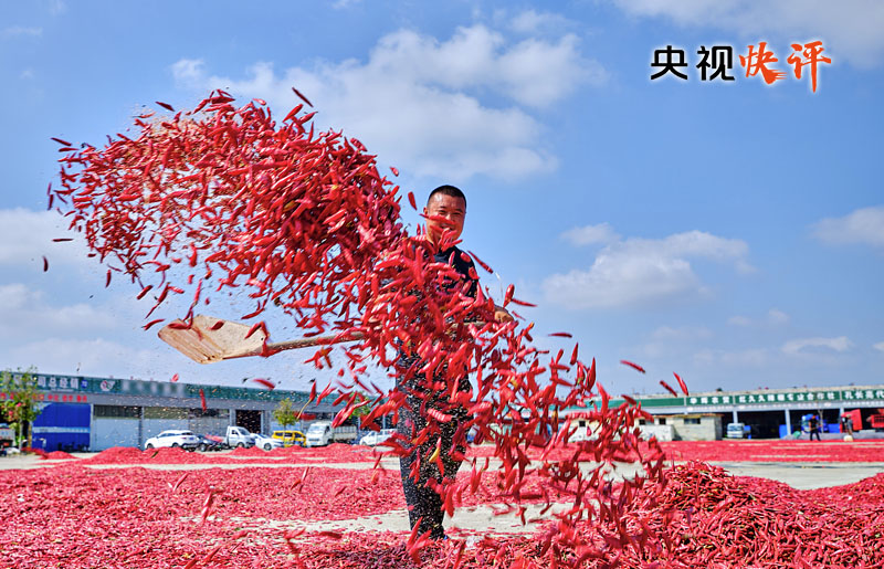 致富农民李文龙_致富农民的心理_农民致富经