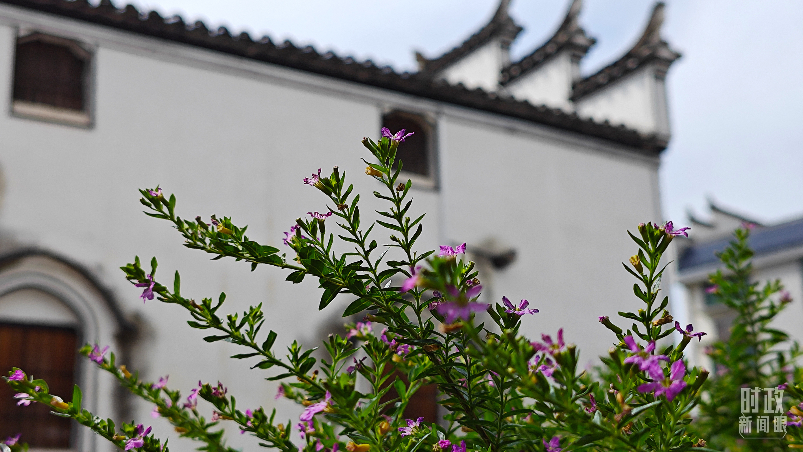 △李祖村。（總台央視記者許永鬆拍攝）