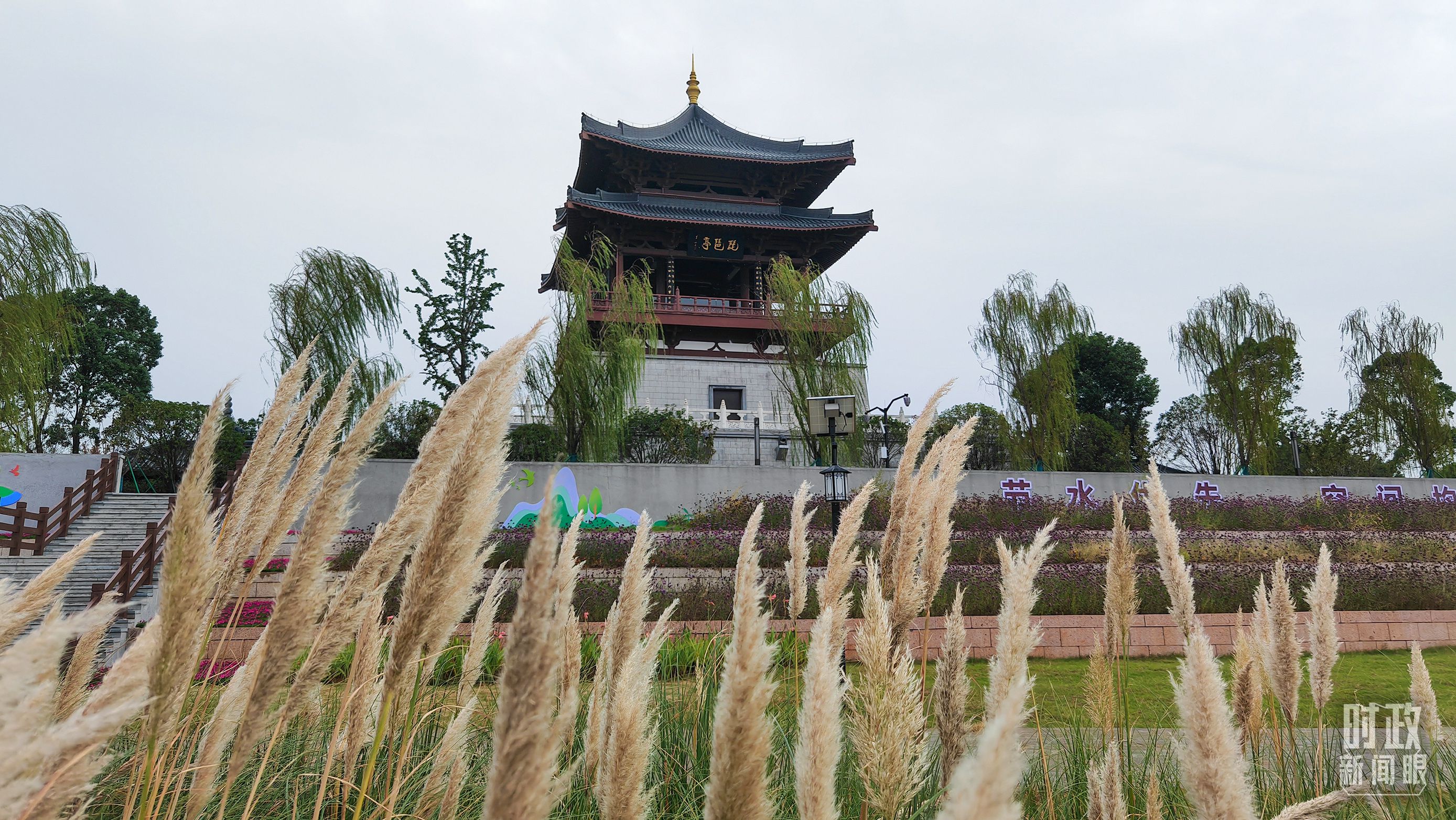 　　△長江國家文化公園九江城區段。（總台央視記者程鋮拍攝）