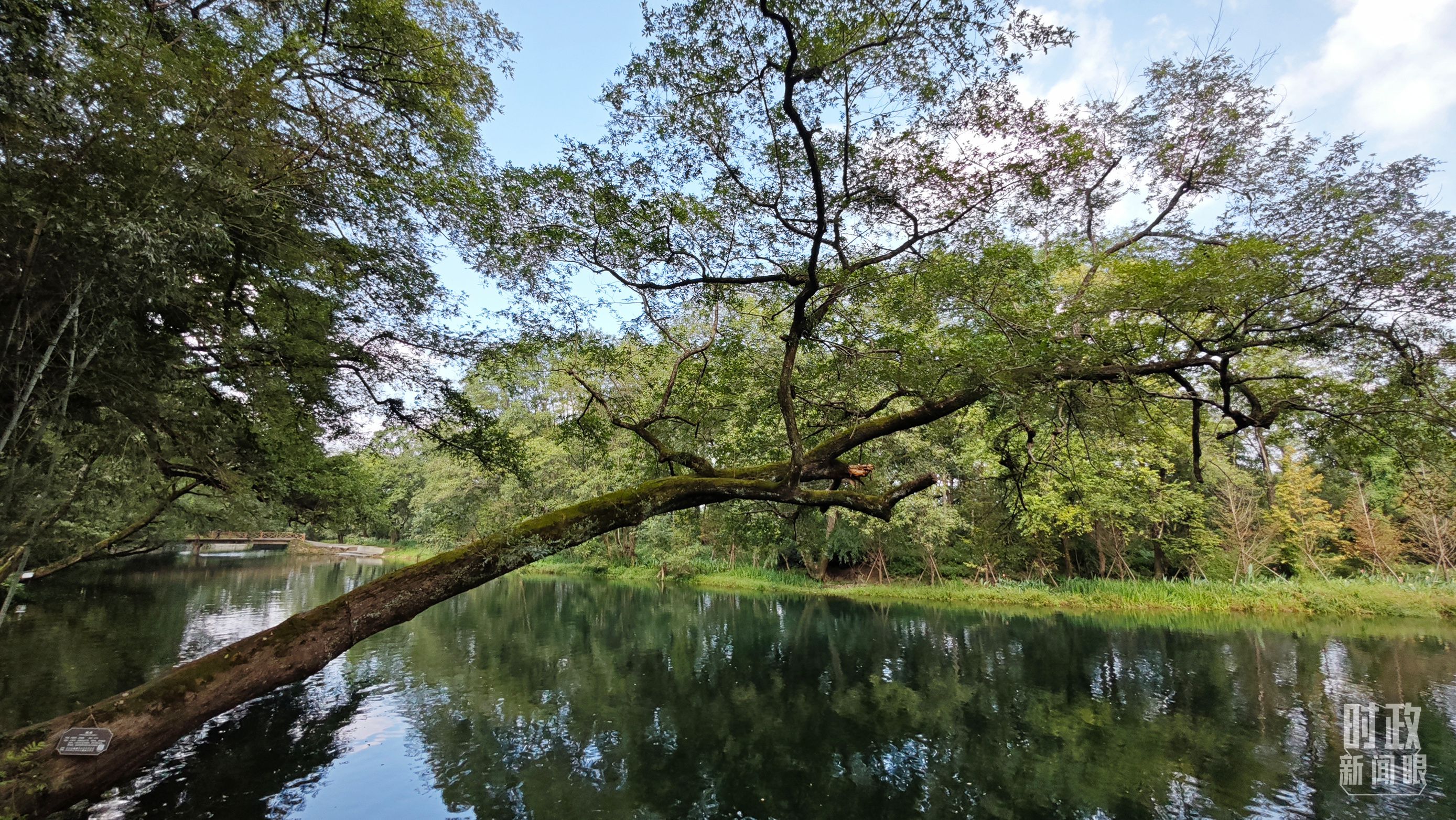 　　△饒河源國家濕地公園。（總台央視記者郁振一拍攝）