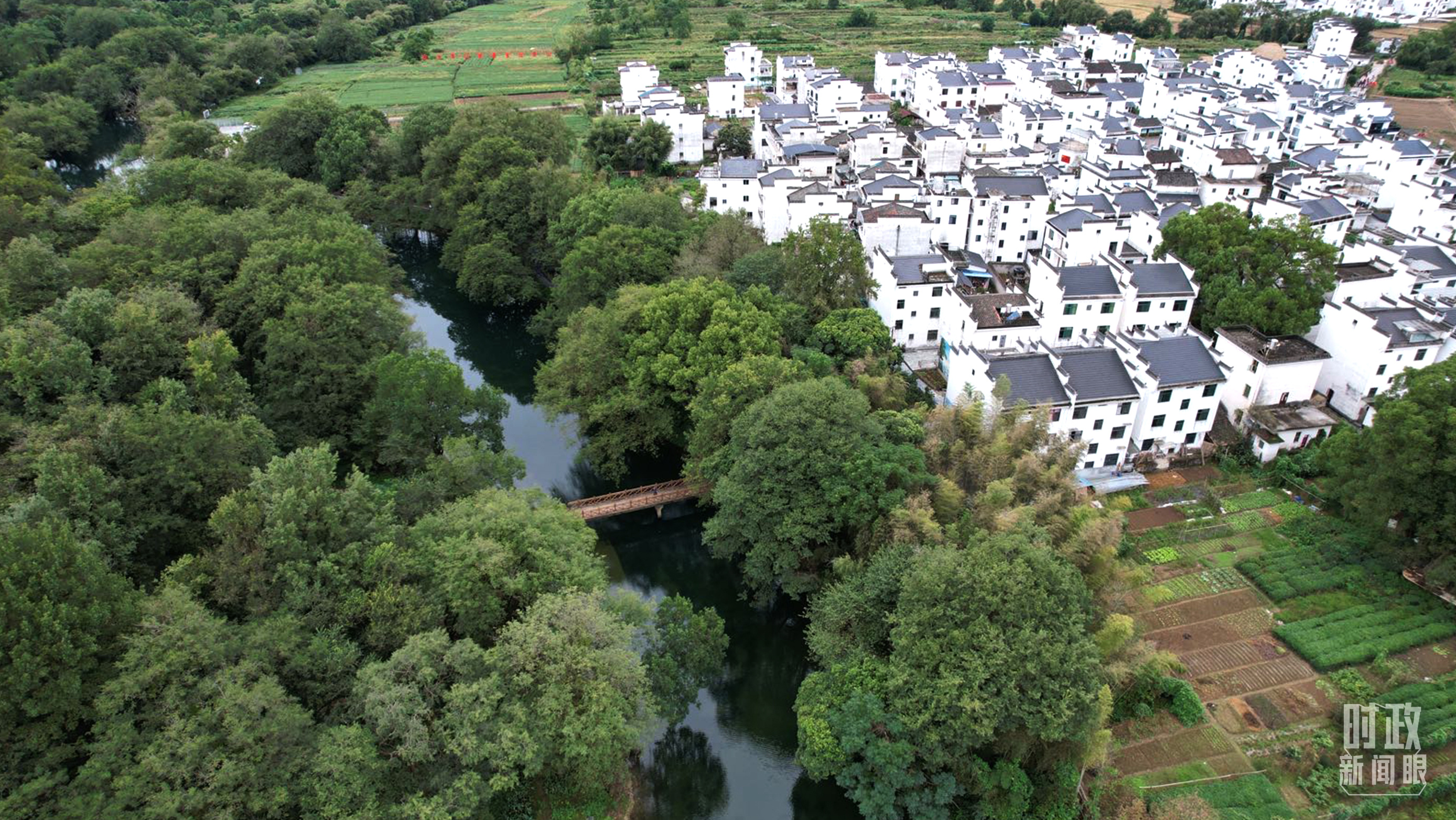 　　△位於饒河源國家濕地公園中心地帶的石門村。（總台央視記者范凱拍攝）