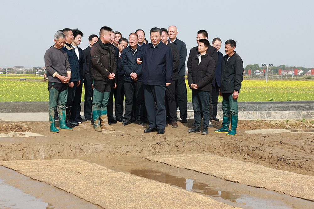 △2024年3月19日，習近平總書記在湖南省常德市鼎城區謝家鋪鎮港中坪村，察看秧苗培育和春耕備耕進展。