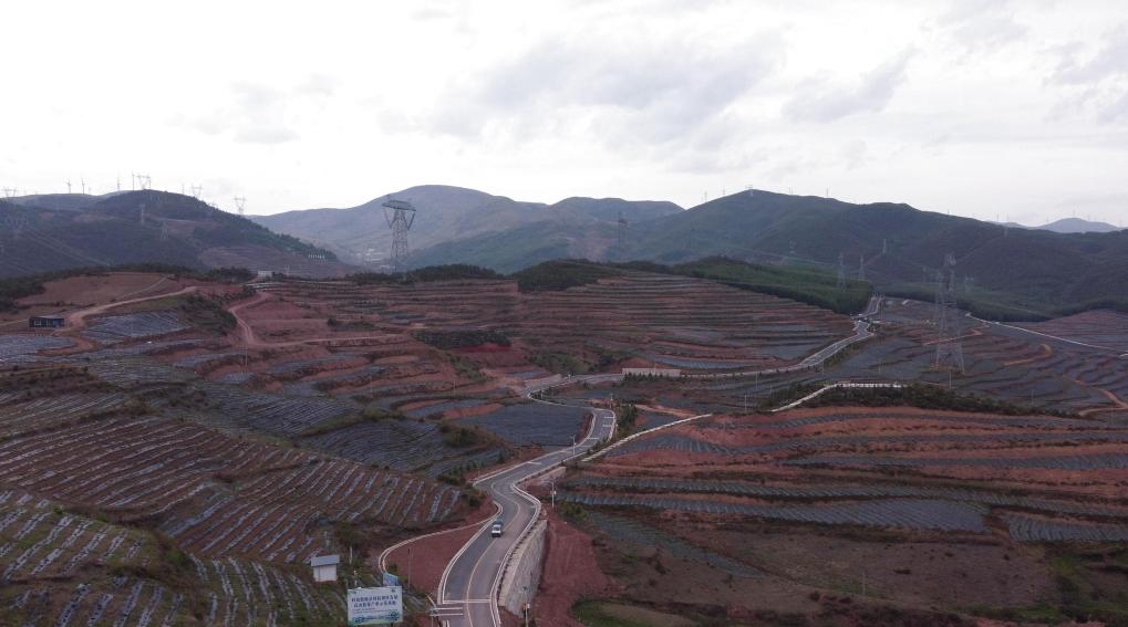 火普村的藍莓基地一角（無人機照片）。新華社記者 尹恆 攝