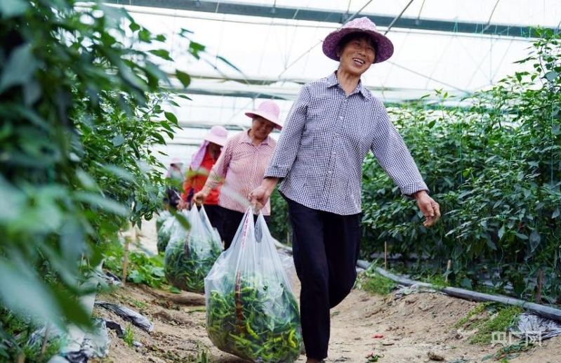 【人平易近城市·温情中国】留住古韵乡愁 书写“硒”看新篇