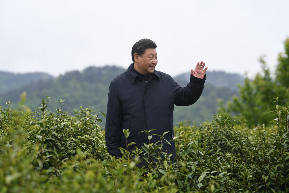 2020年4月21日，习近平总书记来到陕西安康市平利县老县镇，在茶园考察脱贫攻坚情况。新华社记者 燕雁 摄