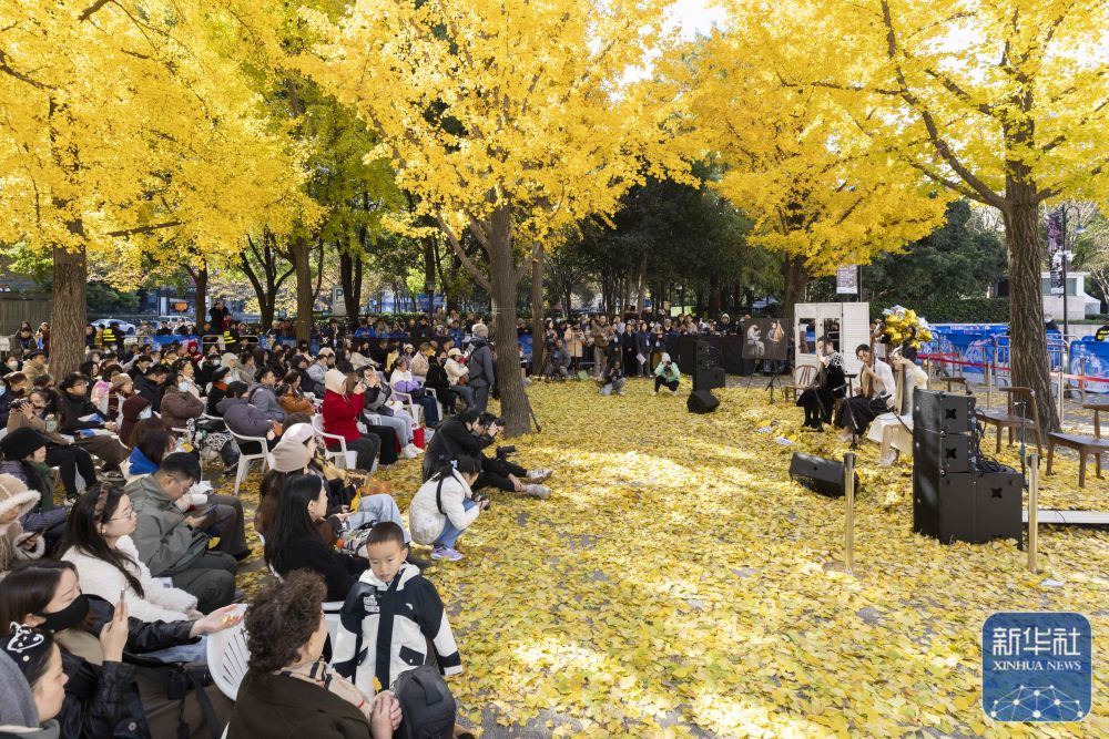 2024年12月8日，一年一度的“銀杏音樂會”在上海音樂廳南廣場舉行。從2013年起，上海音樂廳利用銀杏自然景觀，每年策劃不同主題的音樂會，逐漸形成“銀杏音樂會”這一戶外音樂會品牌，以預約方式免費向公眾開放。