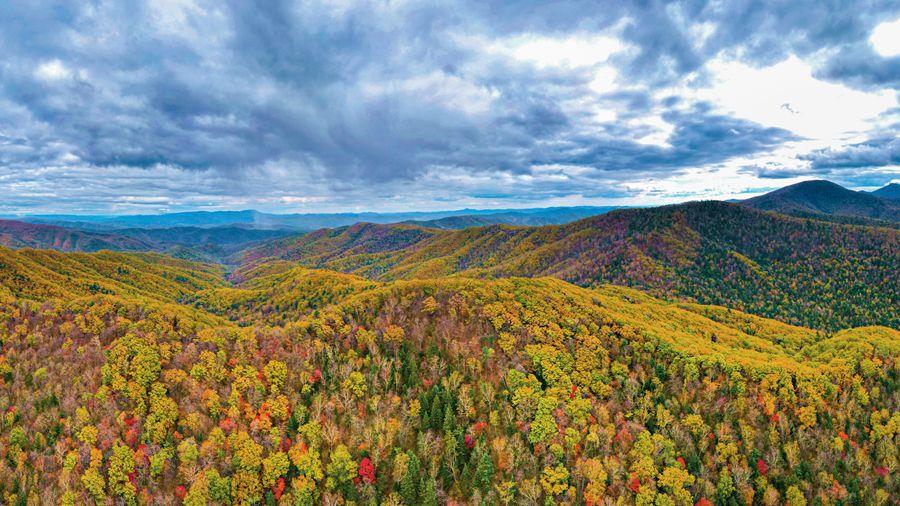 △东北虎豹国家公园风光