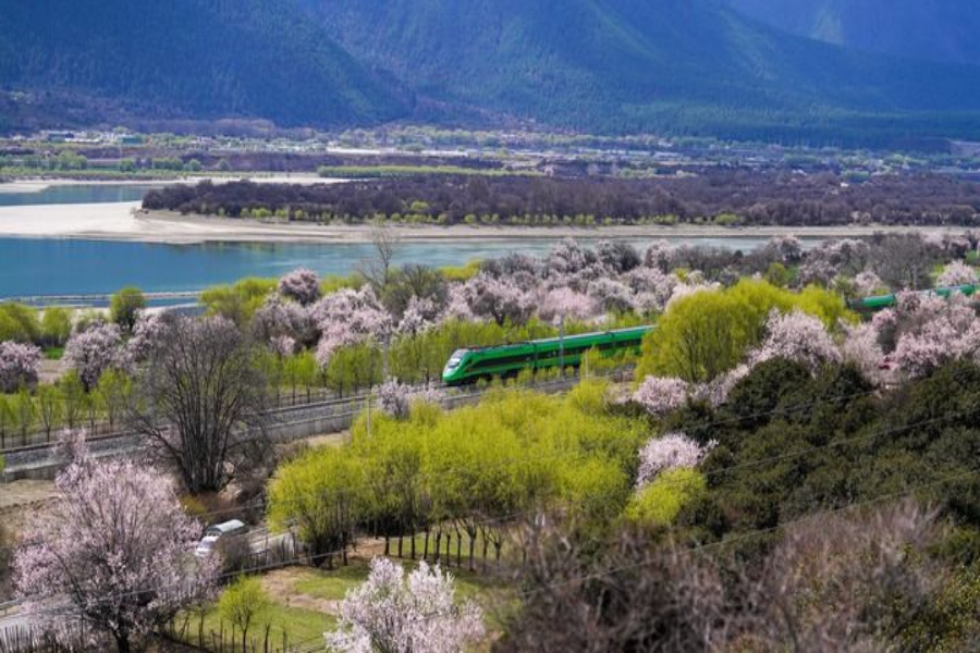 2025年4月2日，复兴号列车穿行在拉林铁路林芝段。新华社记者 晋美多吉 摄