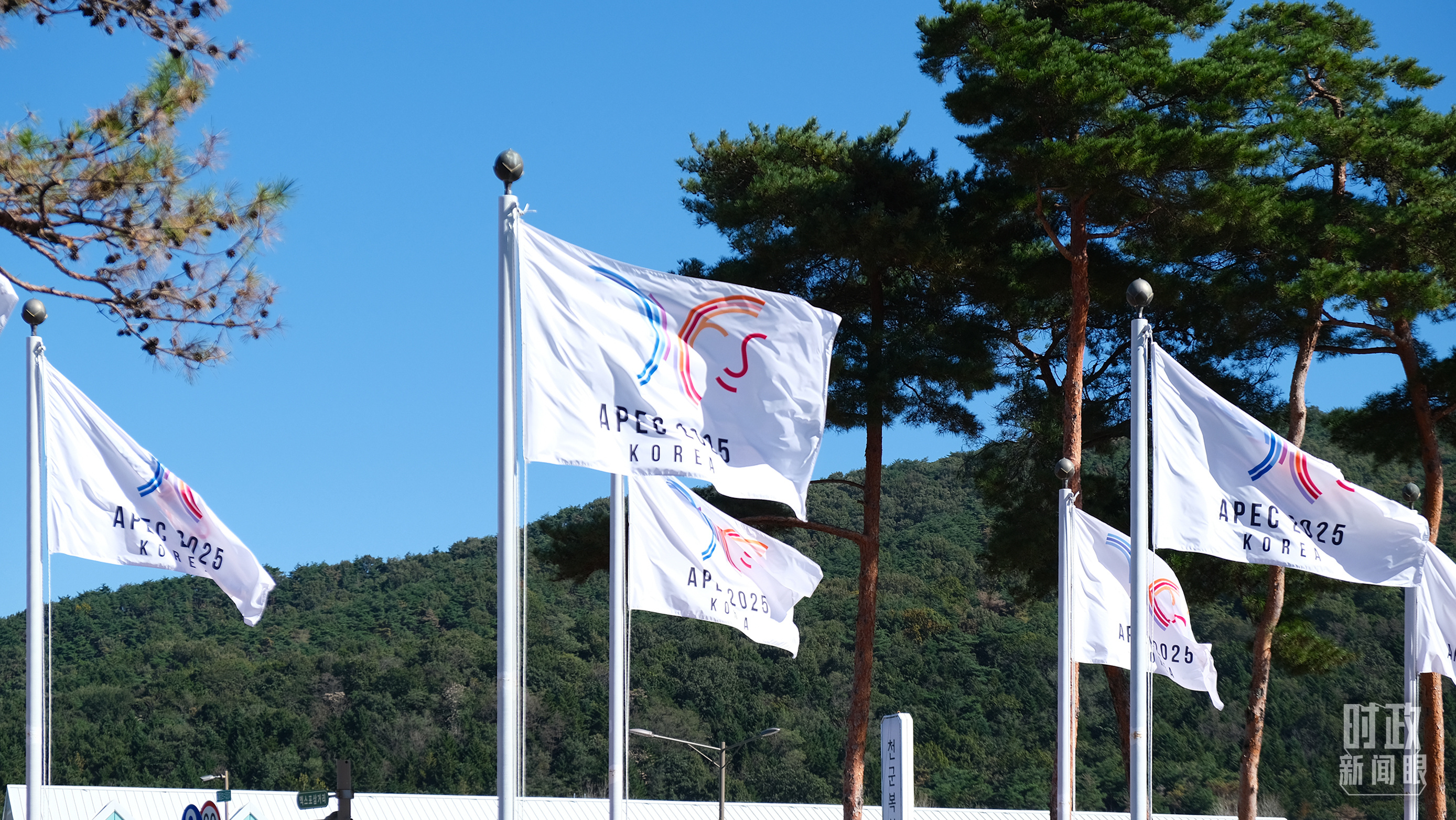 △APEC会议旗帜飘扬。(总台央视记者刘琦拍摄)